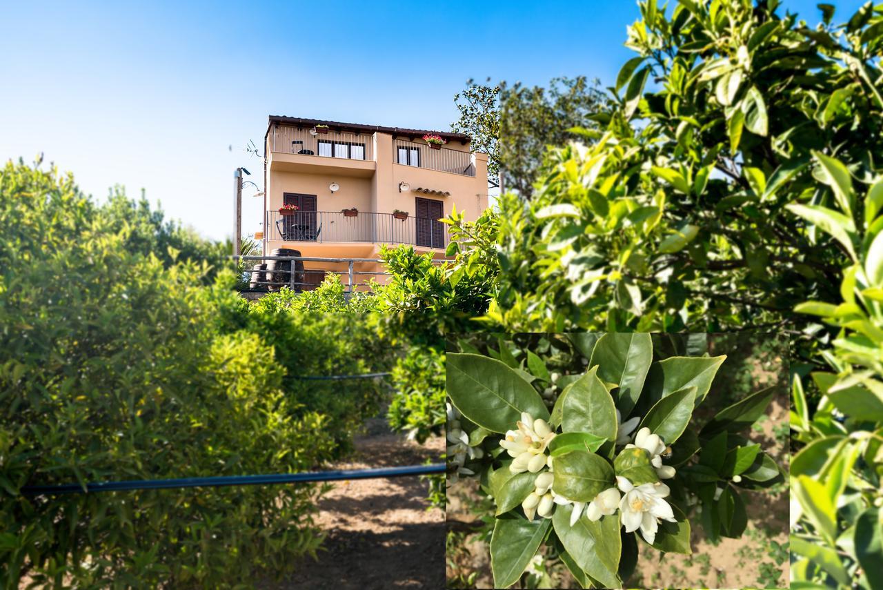 Bed and Breakfast Parco Dei Templi Agrigento Exteriér fotografie